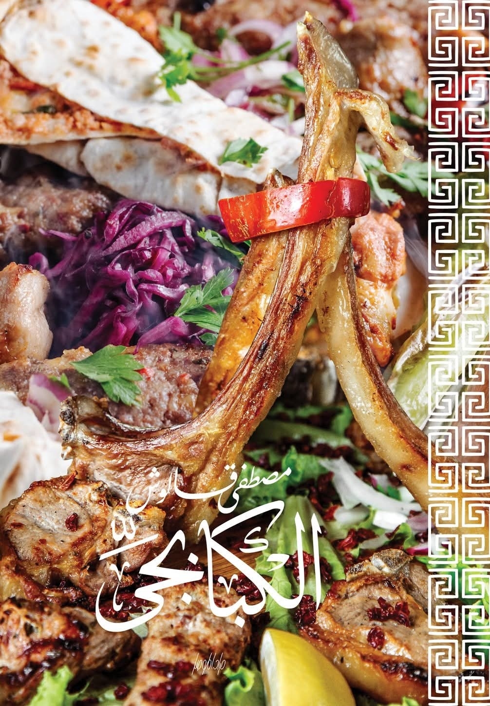 ريش ضاني سادة